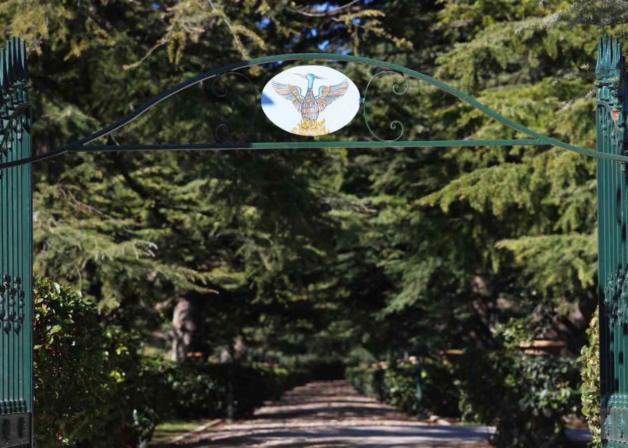 Villa Fenicia Ruvo di Puglia Eksteriør billede