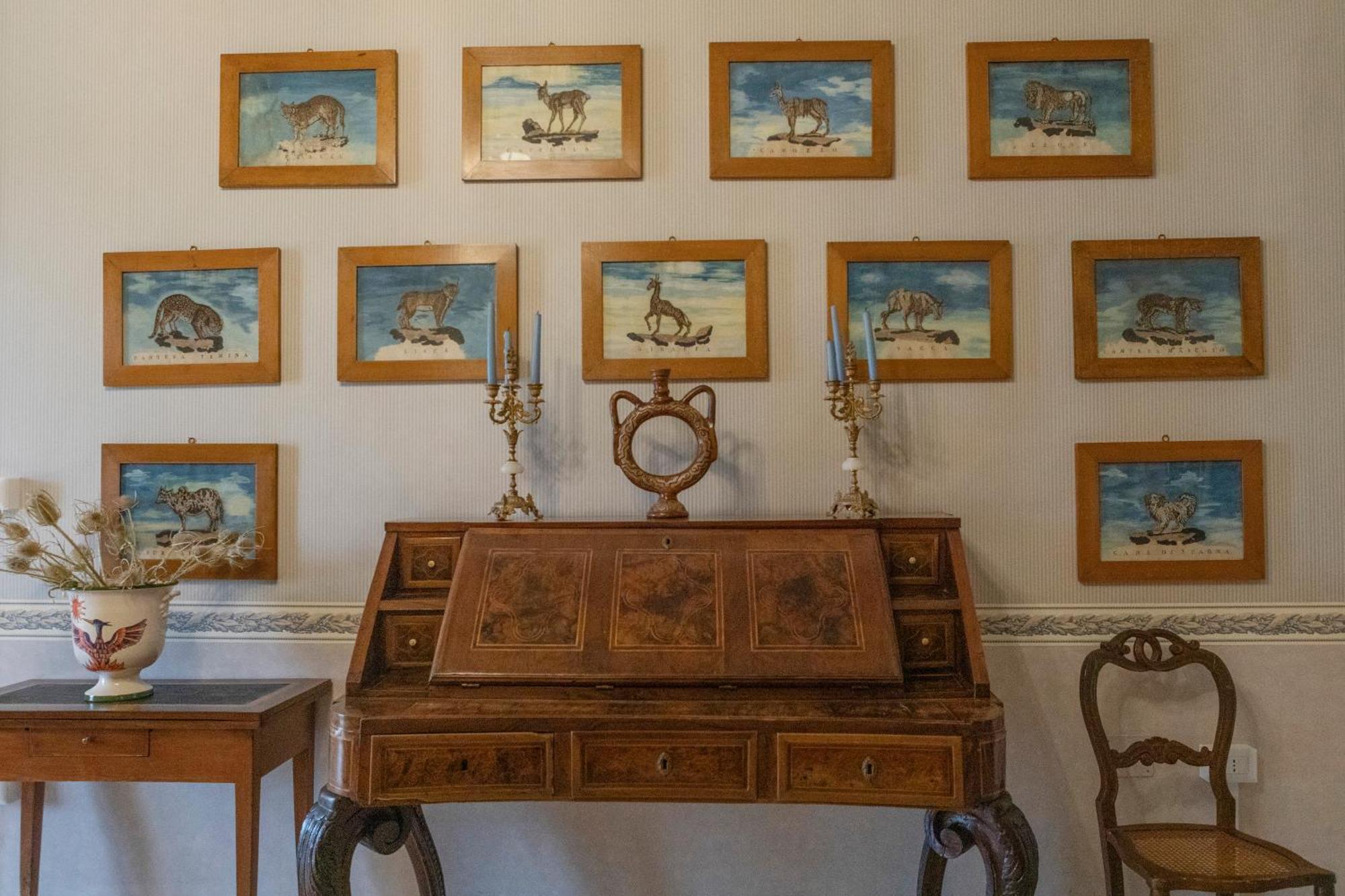 Villa Fenicia Ruvo di Puglia Eksteriør billede